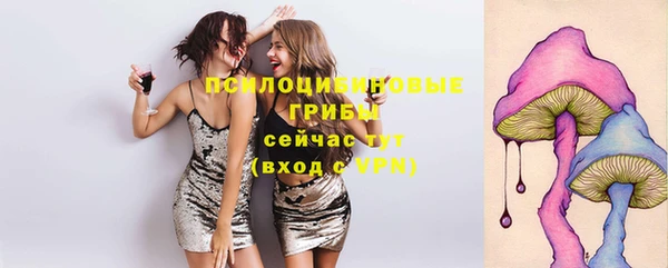 амф Богданович