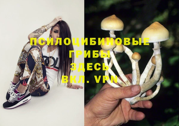 амф Богданович