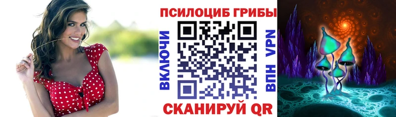 наркошоп  кракен зеркало  Псилоцибиновые грибы MAGIC MUSHROOMS  Вилючинск 